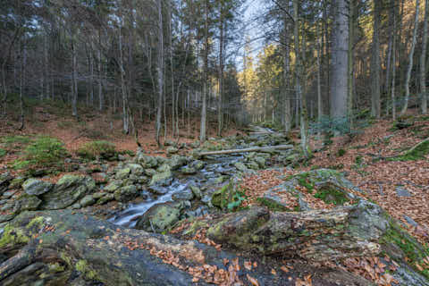 Gemeinde Bodenmais Landkreis Regen Rieslochfälle (Dirschl Johann) Deutschland REG